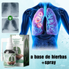 RespiNature™ | Limpiador pulmonar a base de hierbas orgánicas